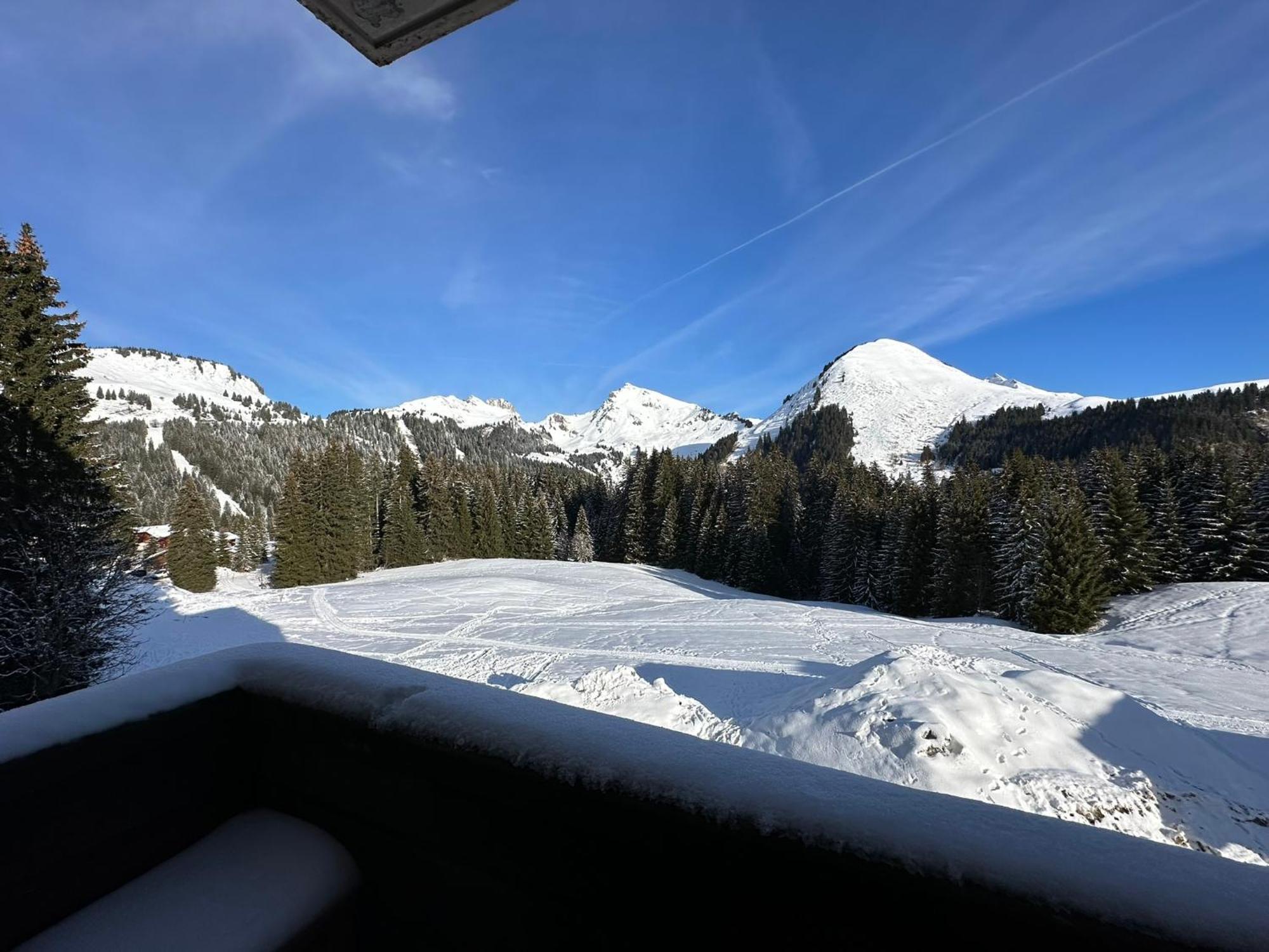 Studio Au Coeur Du Praz-De-Lys - Les Pralyssimes Ле Праз де Лис Экстерьер фото