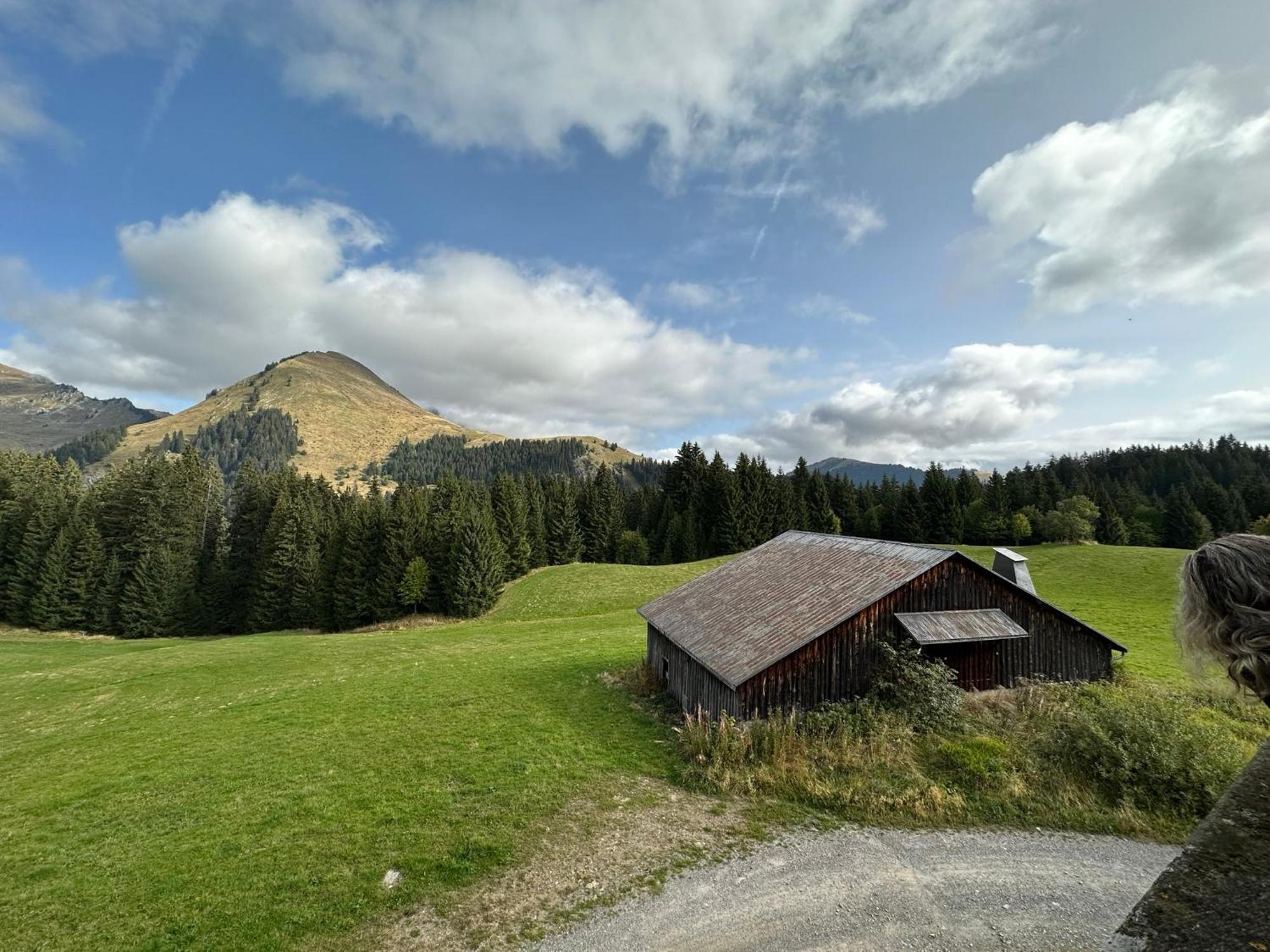 Studio Au Coeur Du Praz-De-Lys - Les Pralyssimes Ле Праз де Лис Экстерьер фото